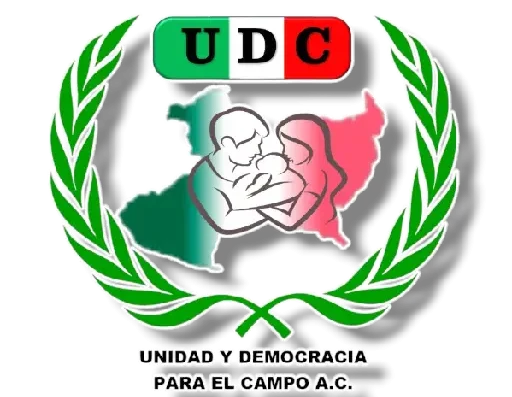 SERVICIOS cropped 29ee4140 8c75 4955 808a d7240b063d24 1.webp